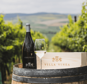 Crama Villa Vinèa a câștigat patru medalii de aur și două de argint la IWCB Vinarium 2022 8 crama-villa-vinèa-a-câștigat-patru-medalii-de-aur-și-două-de-argint-la-iwcb-vinarium-2022