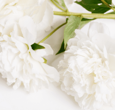 Inocenţă, Vulnerabilitate și Adevăr 7 inocenţă-vulnerabilitate-și-adevăr