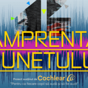 lipsa-auzului-nu-este-invizibilă