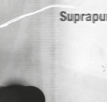 2/3 Galeria prezintă proiectul fotografic colaborativ „Suprapuneri” 8 2-3-galeria-prezintă-proiectul-fotografic-colaborativ-suprapuneri