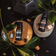 9 alimente si condimente care fac tranzitia spre iarna mai usoara