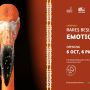 bucharest-photofest-9-zile-dedicate-fotografiei-și-educației-vizuale