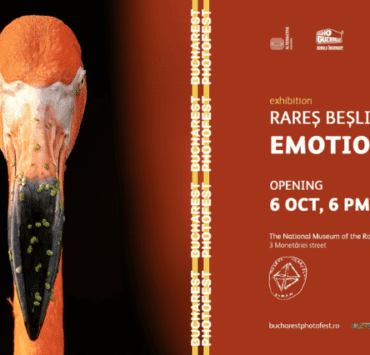 Bucharest Photofest: 9 zile dedicate fotografiei și educației vizuale 9 bucharest-photofest-9-zile-dedicate-fotografiei-și-educației-vizuale