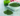 chlorella-în-curele-de-slăbire-avantaje-și-modalități-de-consum