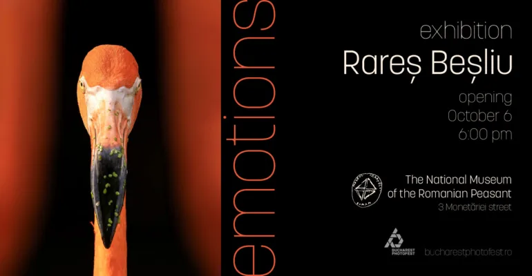 Viața sălbatică prin prisma emoțiilor 5 emoții_Rareș Beșliu