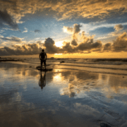 arta-de-a-consemna-viaţa