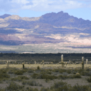 de-ce-e-sănătos-să-ți-iei-câmpii