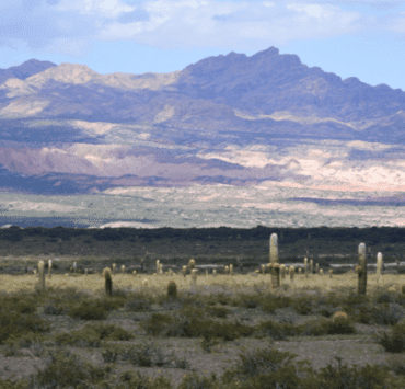 de-ce-e-sănătos-să-ți-iei-câmpii