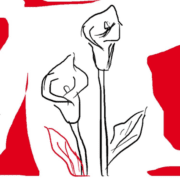 sintaxă-lexicală-sau-sintaxă-corporală