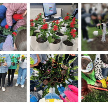 Prima comunitate națională din cadrul proiectului PACT 9 prima-comunitate-națională-din-cadrul-proiectului-pact