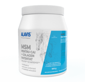 ALAVIS, suplimente veterinare de top disponibile acum în România 5 MSM cai