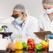 ziua mondiala a sigurantei alimentare