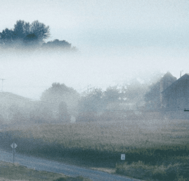 „Dacă spui cuiva...toți vom ajunge la pușcărie”, 9 Daca spui cuiva