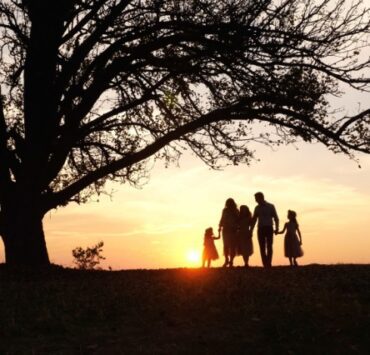 Lungul drum înapoi 7 lungul drum inapoi
