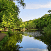 protocol de relaxare