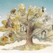 scoala de vara magurele