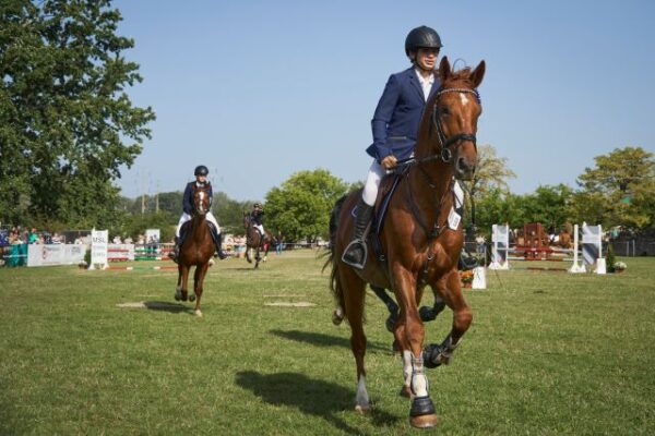 Copie a fisierului A637703