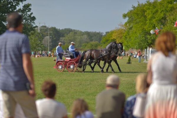 Copie a fisierului DSC7541