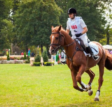 Karpatia Horse Show 2024: Concurs Complet Internațional de 4* show-uri, demonstrații și muzică live! 8 Nemes 4