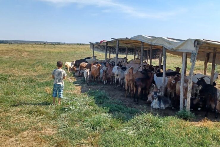 Narada & Inditex: „1 copil încălțat =1 destin dezlegat” 34 Povestea lui Ilie 2 1