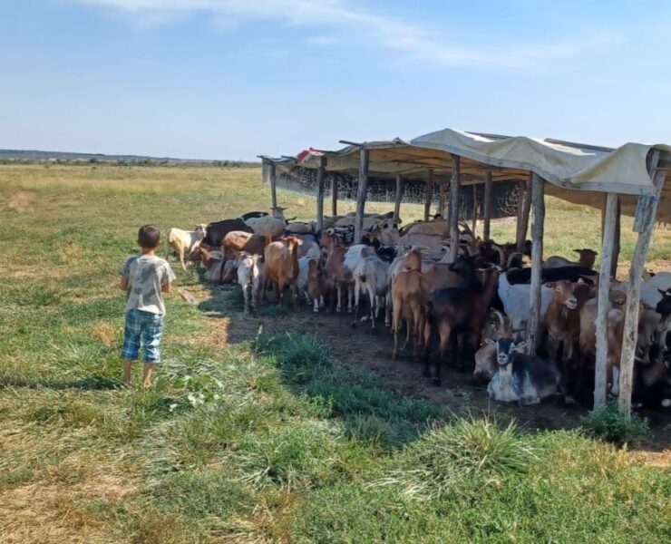 Povestea lui Ilie 2 1