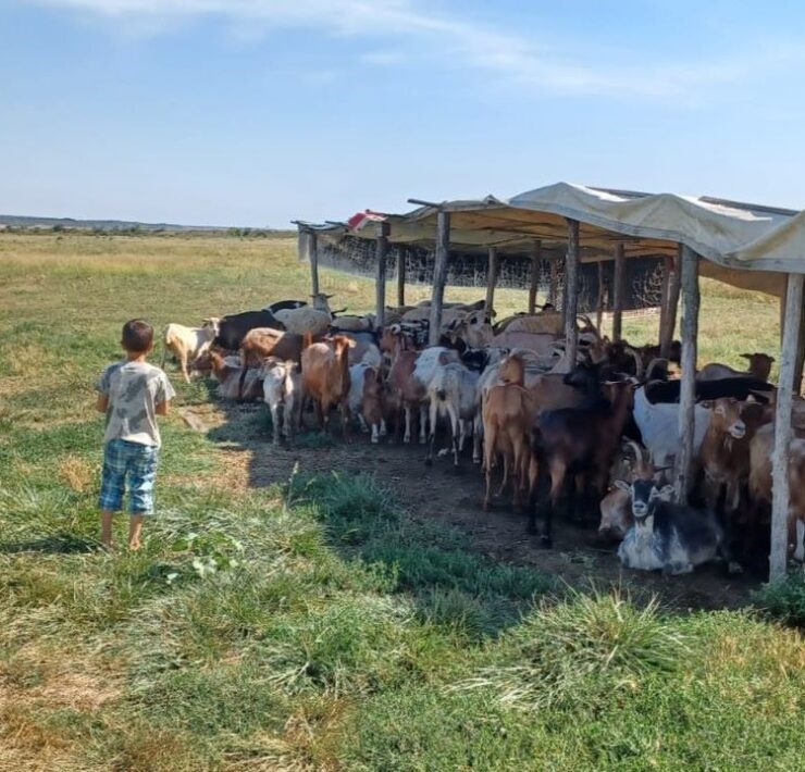 Povestea lui Ilie 2 1