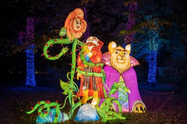 Garden of Lights se deschide începând de astăzi la București 5 GARDEN OF LIGHTS 223