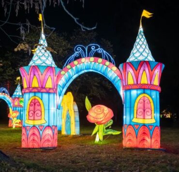 GARDEN OF LIGHTS 281 coperta