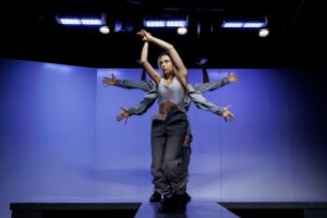 Vanner Collective Bestiar @Andrei Gindac coperta