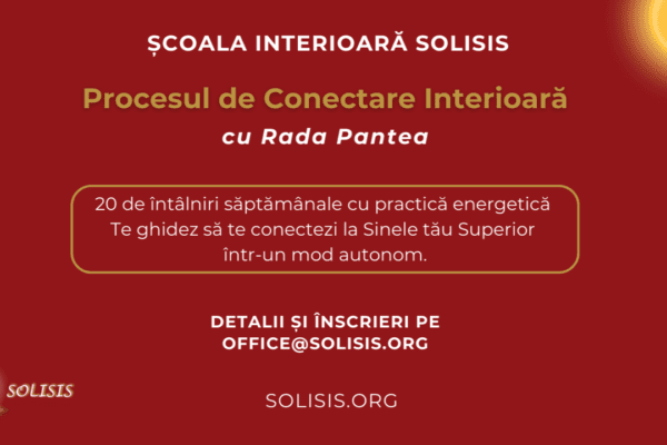 Proces de conectare