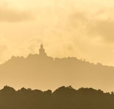 Trezirea în inima Prezenței 12 constiinta