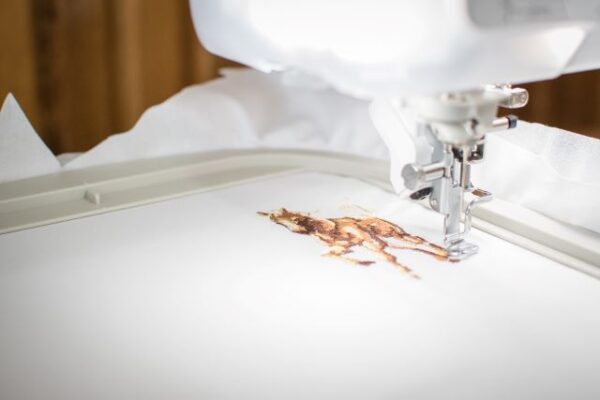 Sprijin tridimensional pentru tinerii din detenție 3 tichilesti 3