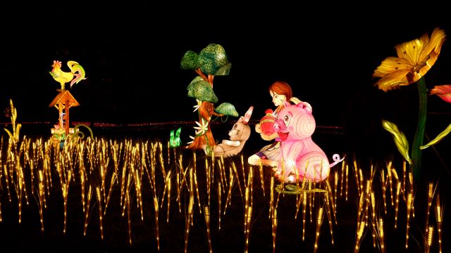 “Garden of Lights” România, destinație turistică de top 5 GL3