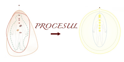 Procesul de Conectare Interioară, o ghidare către conectarea cu Ființa ta Profundă   4 proces