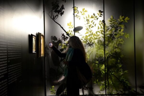 A început un nou sezon Art Safari! 3 Expozitie Ioan Andreescu 2