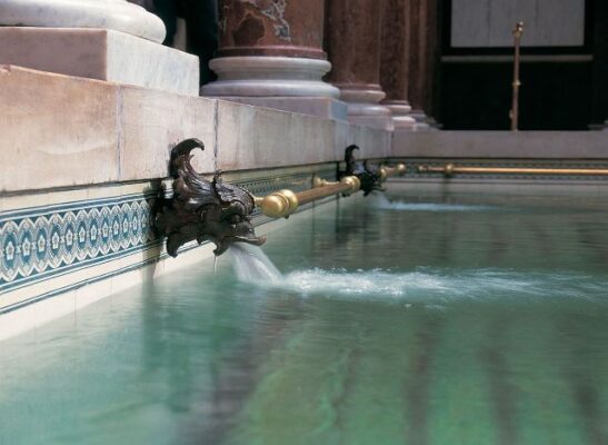 Nivelul imunității poate fi stimulat de nămolul sapropelic 3 HealingSpa