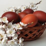 Untitled design 2025 04 23T102900.606