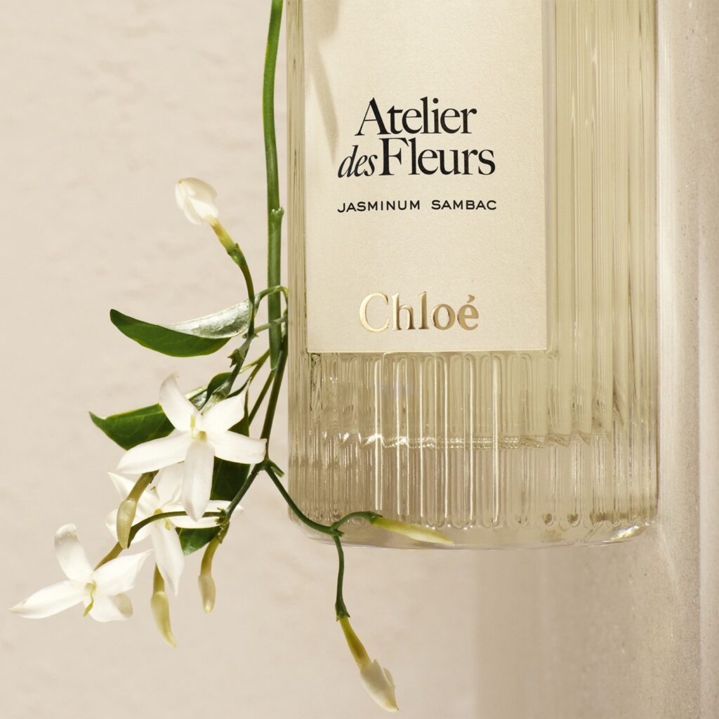 notino chloe parfum vara