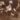 Fotografie cu George Enescu copil Muzeul National de Istorie a Romaniei Enescu si Minotaurul