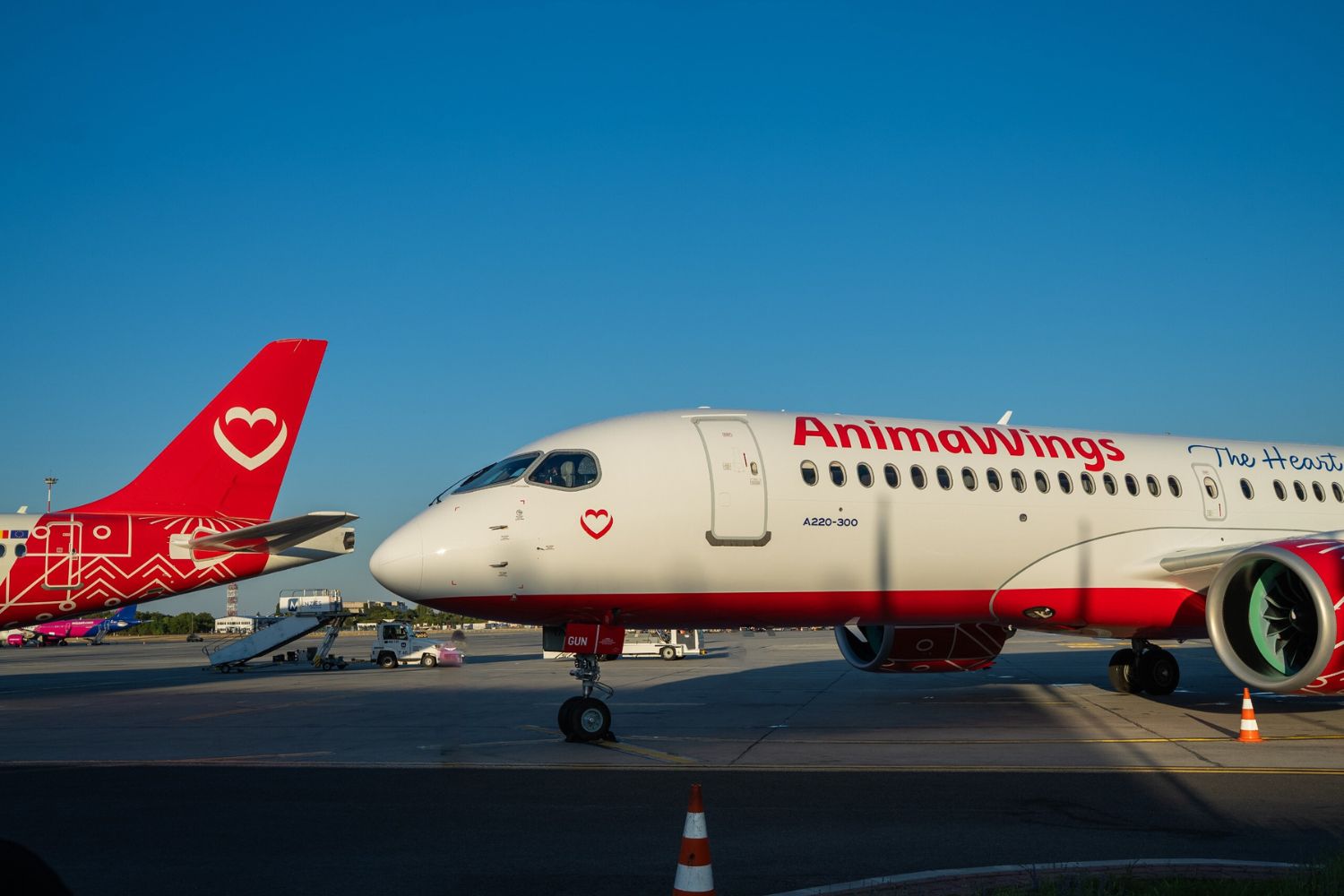AnimaWings a recepționat a cincea aeronavă Airbus 1 AnimaWings a recepționat a cincea aeronavă Airbus