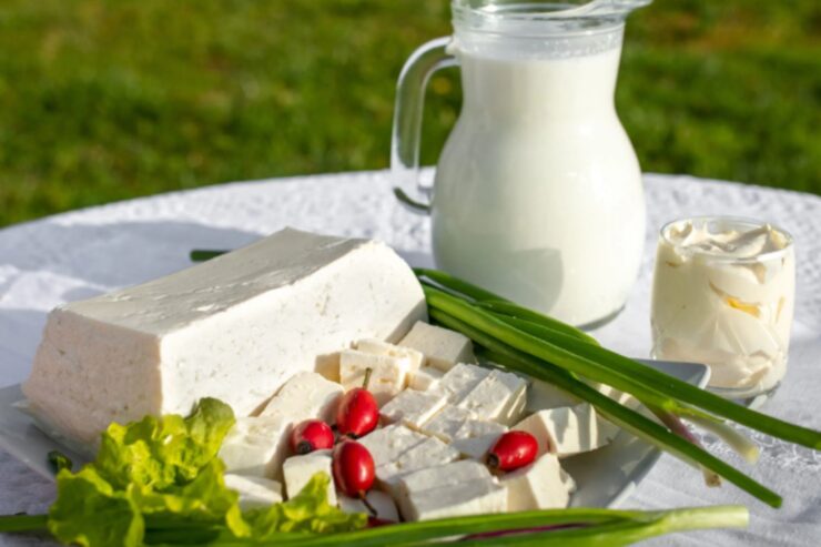 Producători de lactate din România: cum recunoști calitatea și autenticitatea produselor 27 Producători de lactate din România: cum recunoști calitatea și autenticitatea produselor