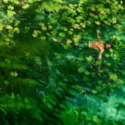 Rituals relansează The Ritual of Jing, cu o rutină completă de relaxare