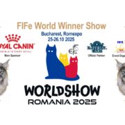 FIFe World Winner Show 2025: Pisicile lumii se întâlnesc la București 12 FIFe World Winner Show 2025: Pisicile lumii se întâlnesc la București