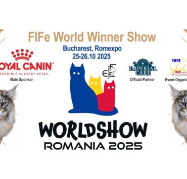 FIFe World Winner Show 2025: Pisicile lumii se întâlnesc la București
