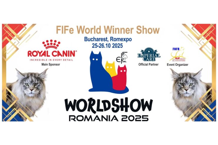 FIFe World Winner Show 2025: Pisicile lumii se întâlnesc la București