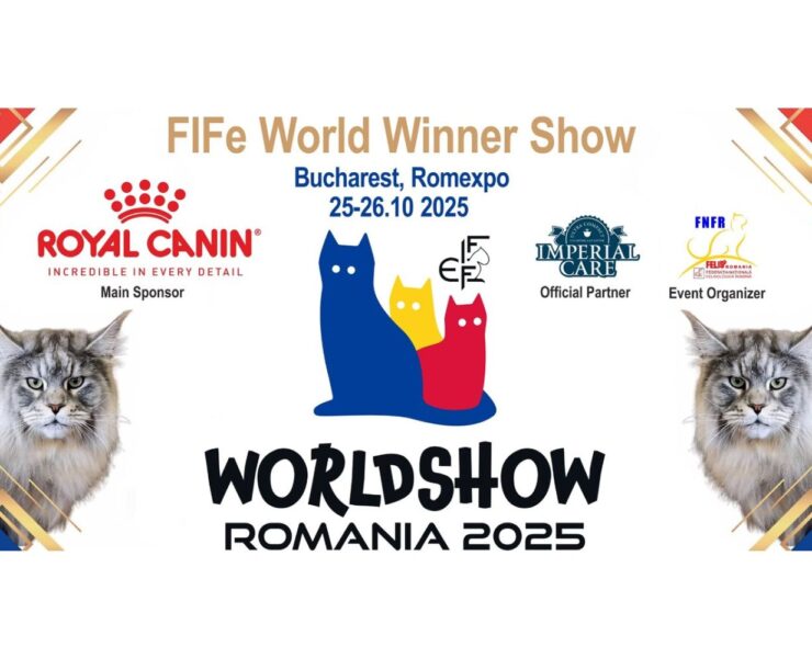 FIFe World Winner Show 2025: Pisicile lumii se întâlnesc la București