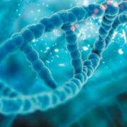 Telomerii și arta longevității: povestea timpului scris în celule