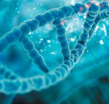 Telomerii și arta longevității: povestea timpului scris în celule 8 Telomerii și arta longevității: povestea timpului scris în celule