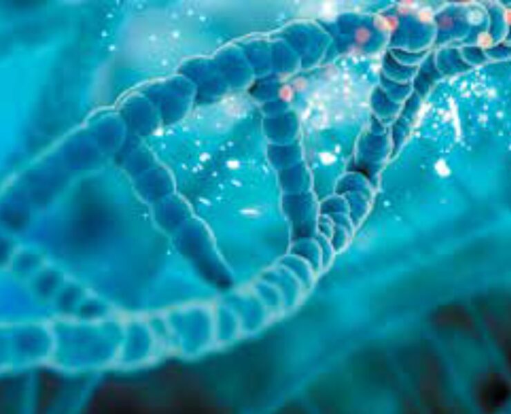 Telomerii și arta longevității: povestea timpului scris în celule