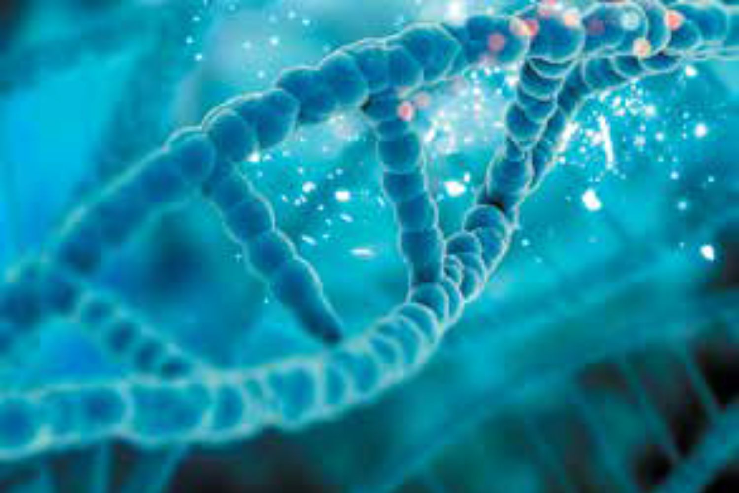 Telomerii și arta longevității: povestea timpului scris în celule 1 Telomerii și arta longevității: povestea timpului scris în celule